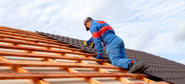 Best Sheet Metal Roofing  in Dalton, GA