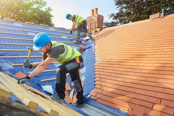Best Metal Roofing Installation  in Dalton, GA